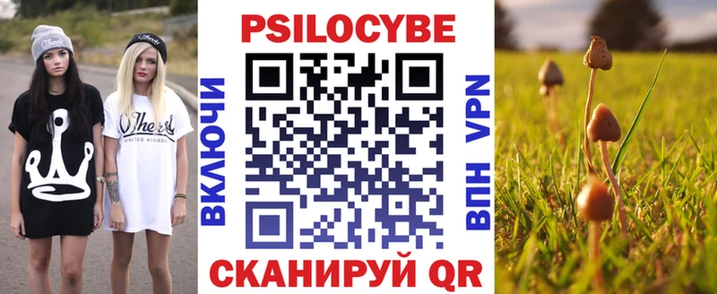 Псилоцибиновые грибы Psilocybine cubensis Купить Славгород