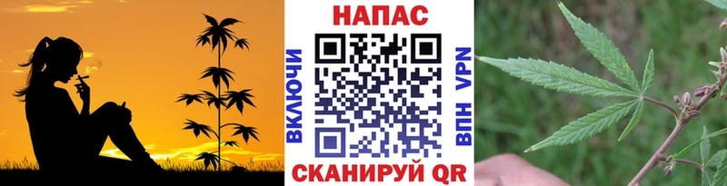 Каннабис Ganja  Купить  Славгород 